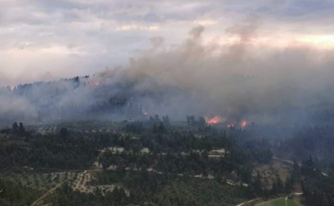 Χαλκιδική - φωτιά