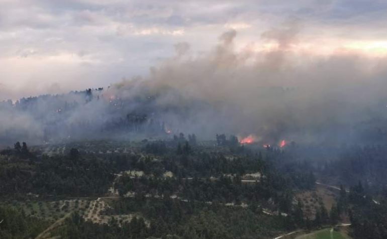 Χαλκιδική - φωτιά