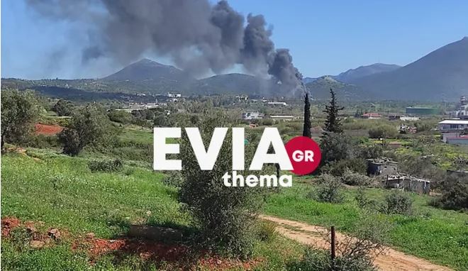 Φωτιά σε εργοστάσιο στο Αλιβέρι