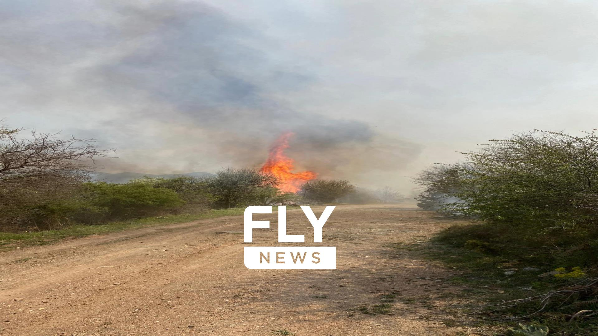 Λακωνία φωτιά