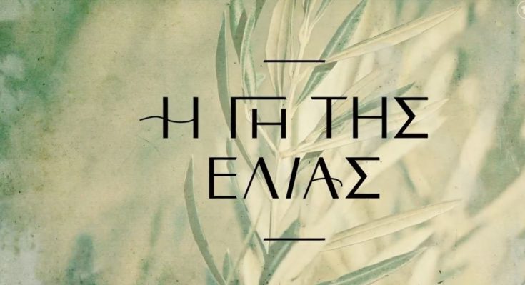 Η Γη της Ελιάς