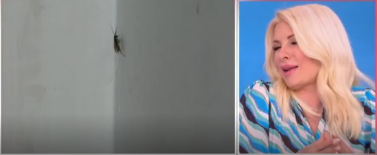 Ελένη Μενεγάκη: Αναστατωμένη στον αέρα της εκπομπής της – “Βγάλτε τα πλάνα – Δεν μπορώ να τα δω”