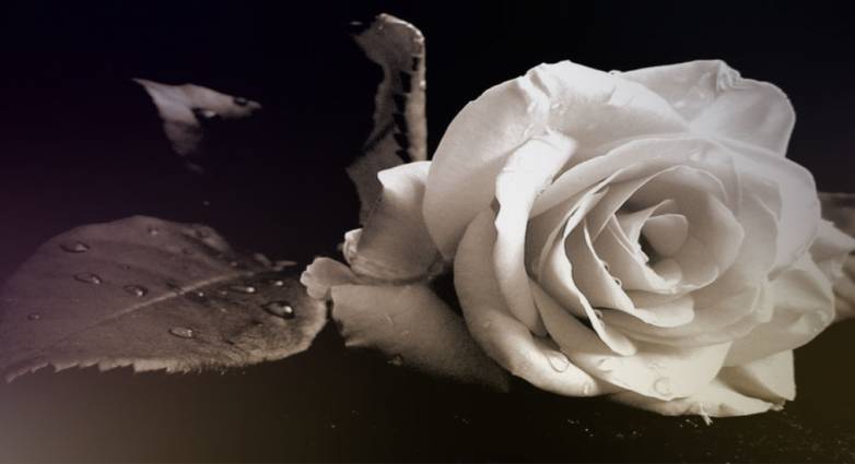 πένθος- Πάτρα