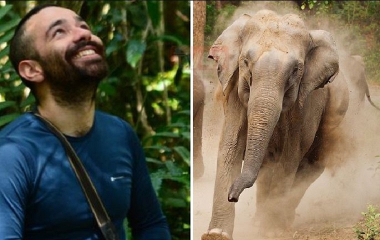 Φρικτός θάνατος επιστήμονα στην Ουγκάντα – Ποδοπατήθηκε από ελέφαντα