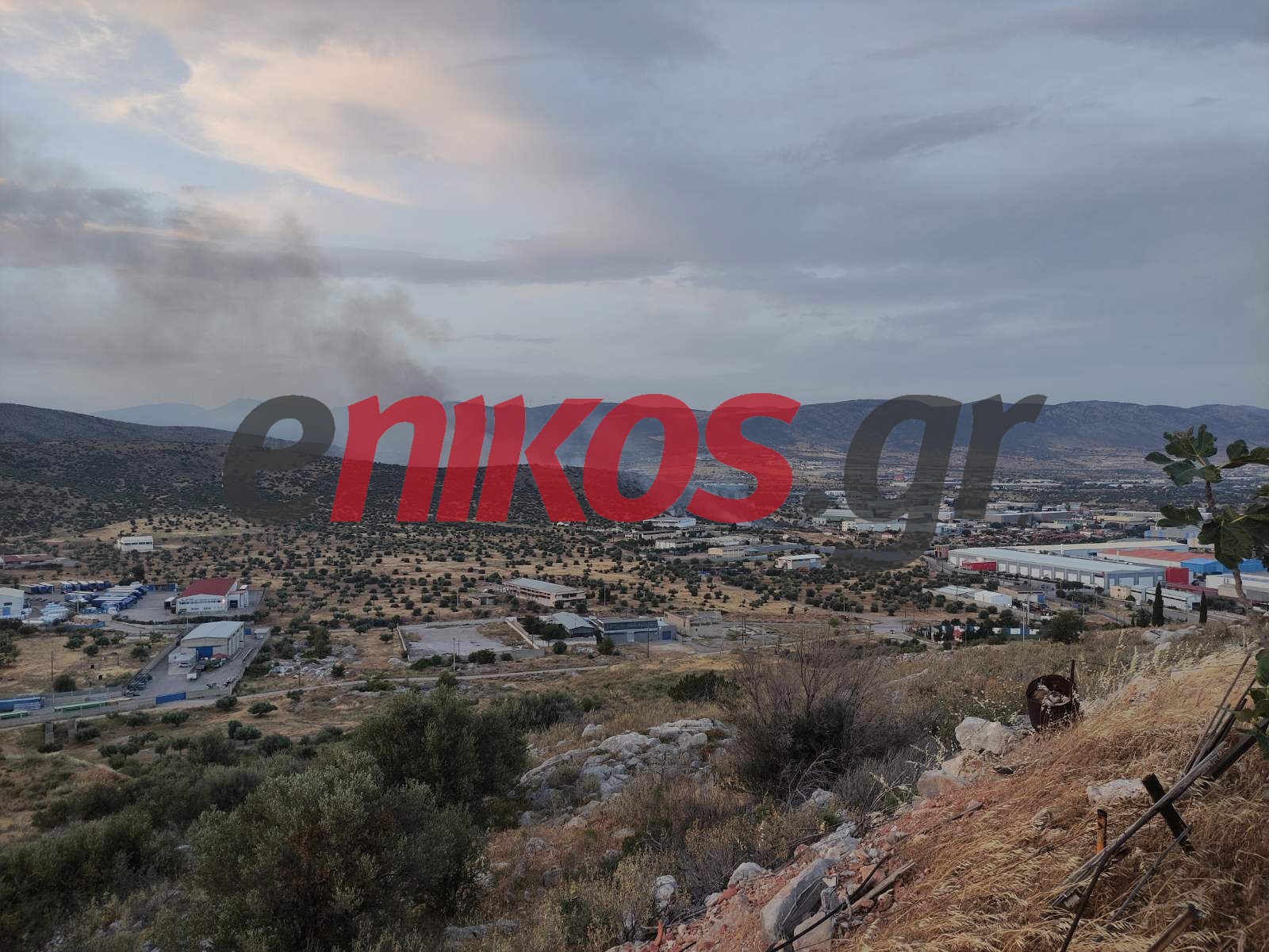 φωτιά Μαγούλα