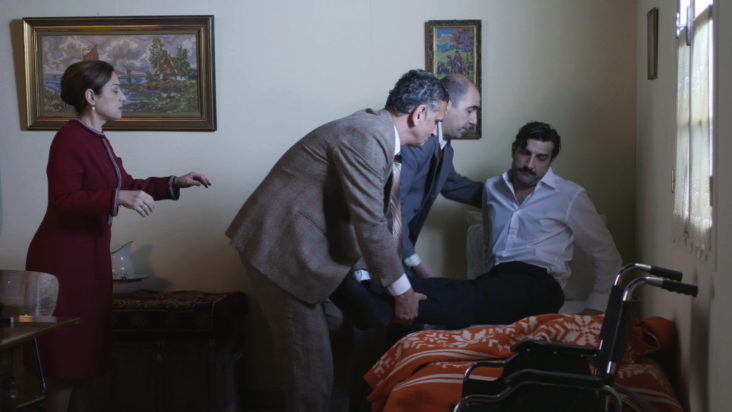 Άγριες Μέλισσες