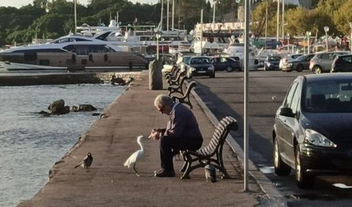 Όταν ο κ. Νίκος συνάντησε τον «Μάρκο»: Μια… διαφορετική φιλία στη Ρόδο