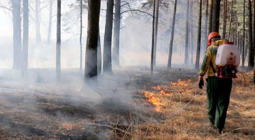 Ρωσία- φωτιές