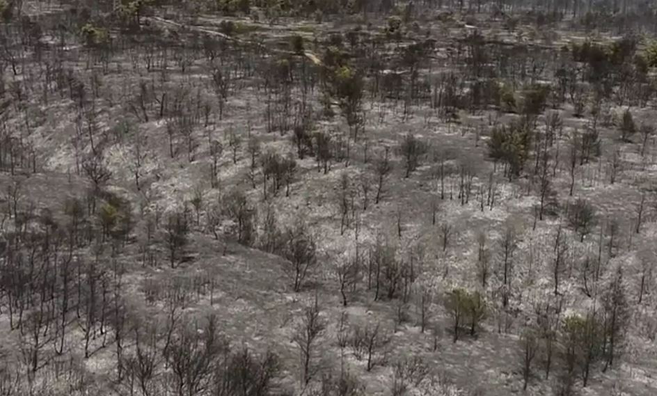 Βαρυμπόμπη