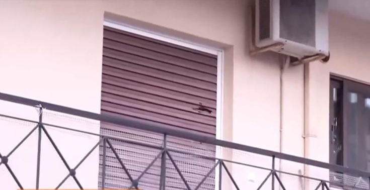 Ζεφύρι - σφαίρα