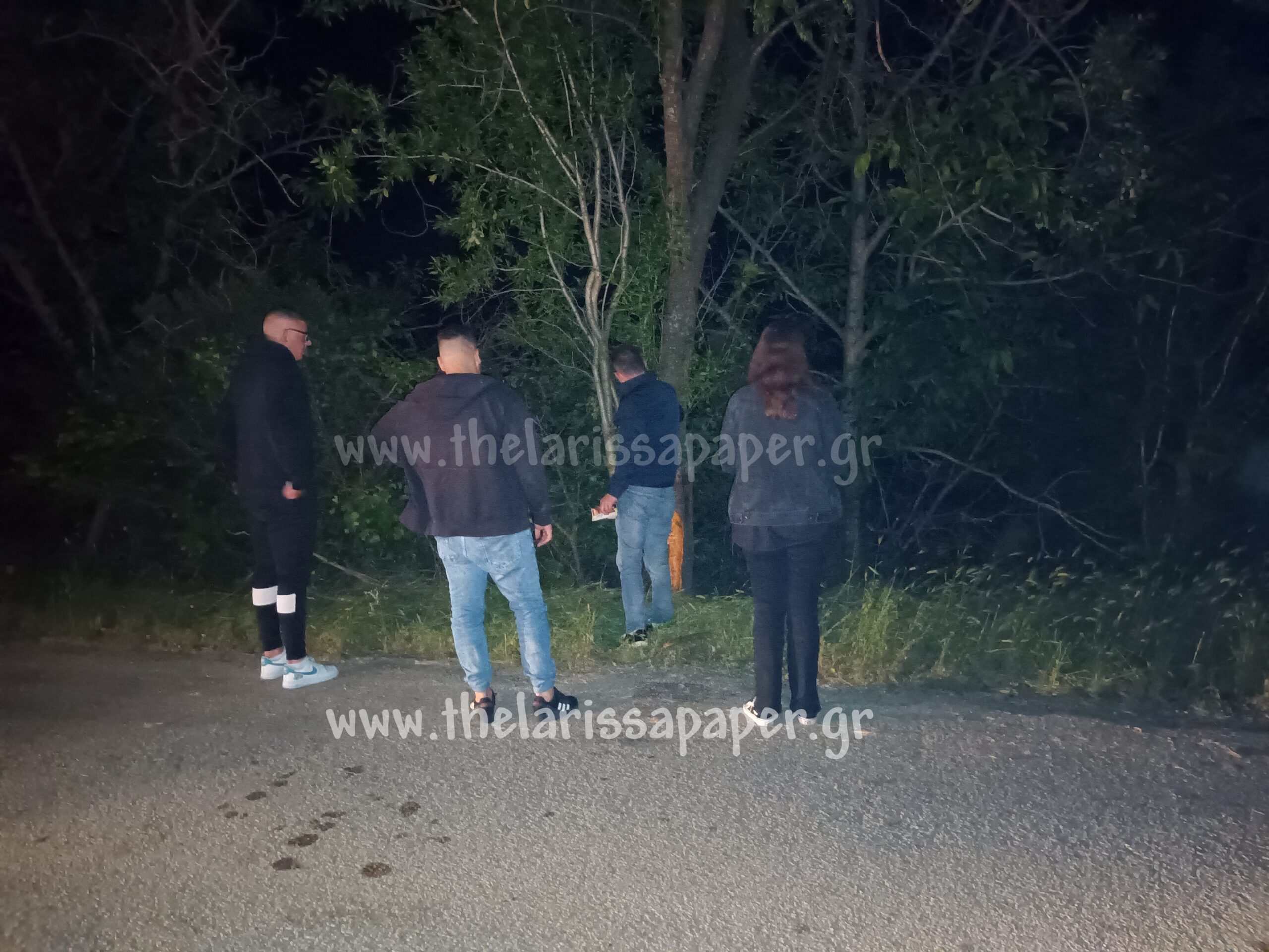 τροχαίο Ελασσόνα