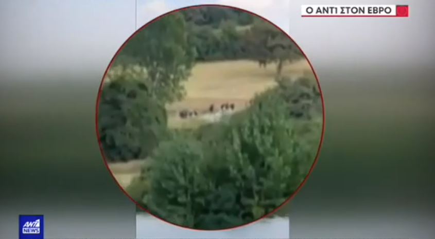 ΒΙΝΤΕΟ ντοκουμέντο: Μετανάστες στον Έβρο ψάχνουν πέρασμα για την Ελλάδα – BINTEO