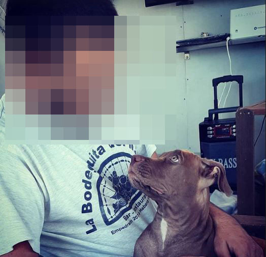 Τι απαντά ο άνδρας που κλώτσησε την γάτα στη θάλασσα – Ζητά συγγνώμη και δηλώνει… φιλόζωος