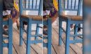 Θεοδωρικάκος: Τι είπε για το περιστατικό με το γατάκι στην Αιδηψό – “140 συλλήψεις για κακοποίηση ζώων το τελευταίο 5μηνο”