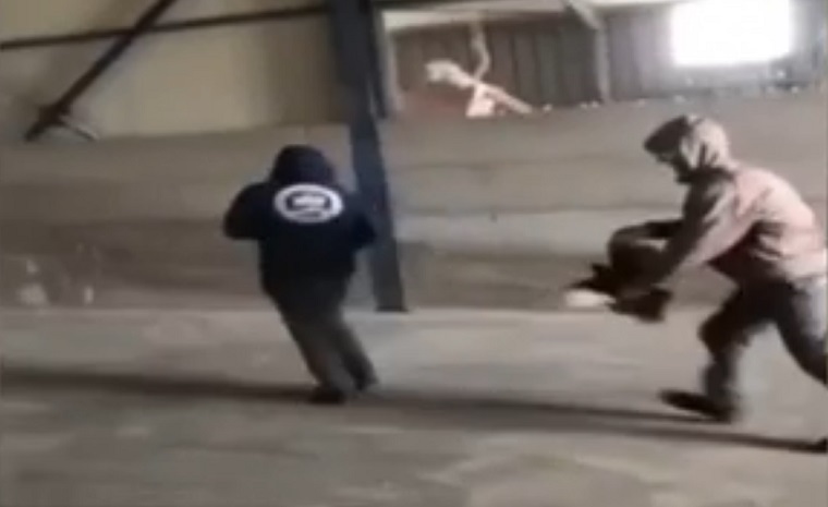 Νέα υπόθεση κακοποίησης ζώου: Έσπαγαν πλάκα βασανίζοντας μια κότα