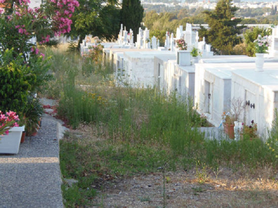 νεκροταφείο