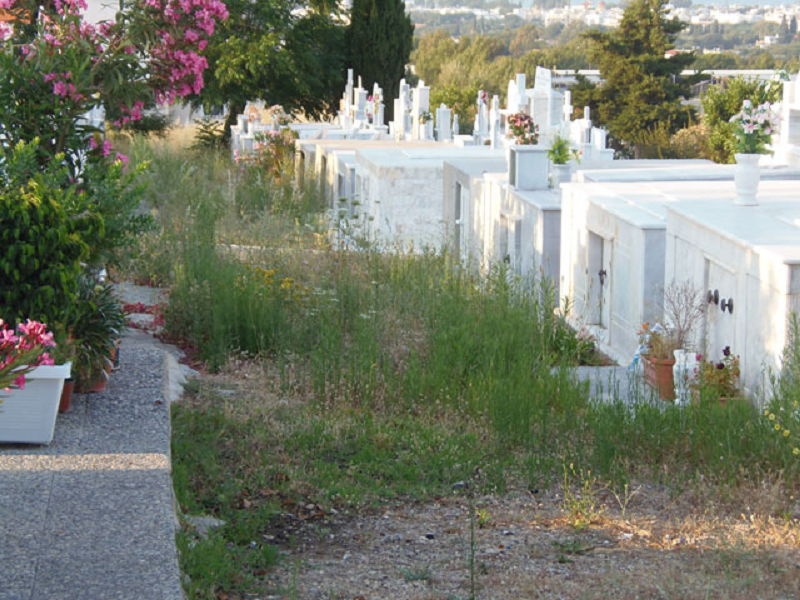 νεκροταφείο