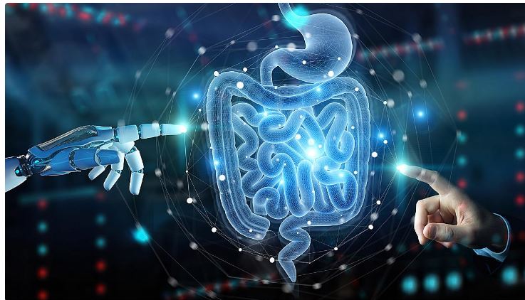 νομοσχέδιο