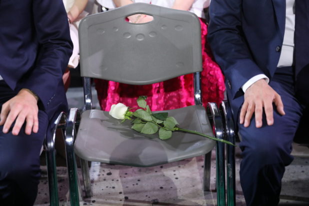 ΠΑΣΟΚ - τριαντάφυλλο