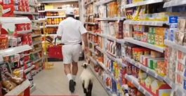 πρόβατο- Μήλος- σούπερ μάρκετ