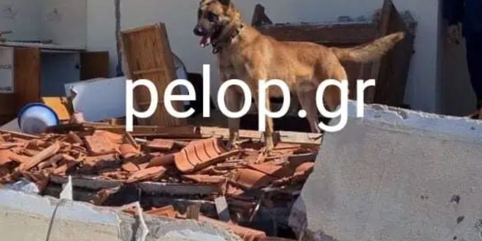 Πύργος - εξαφάνιση Θύμιου