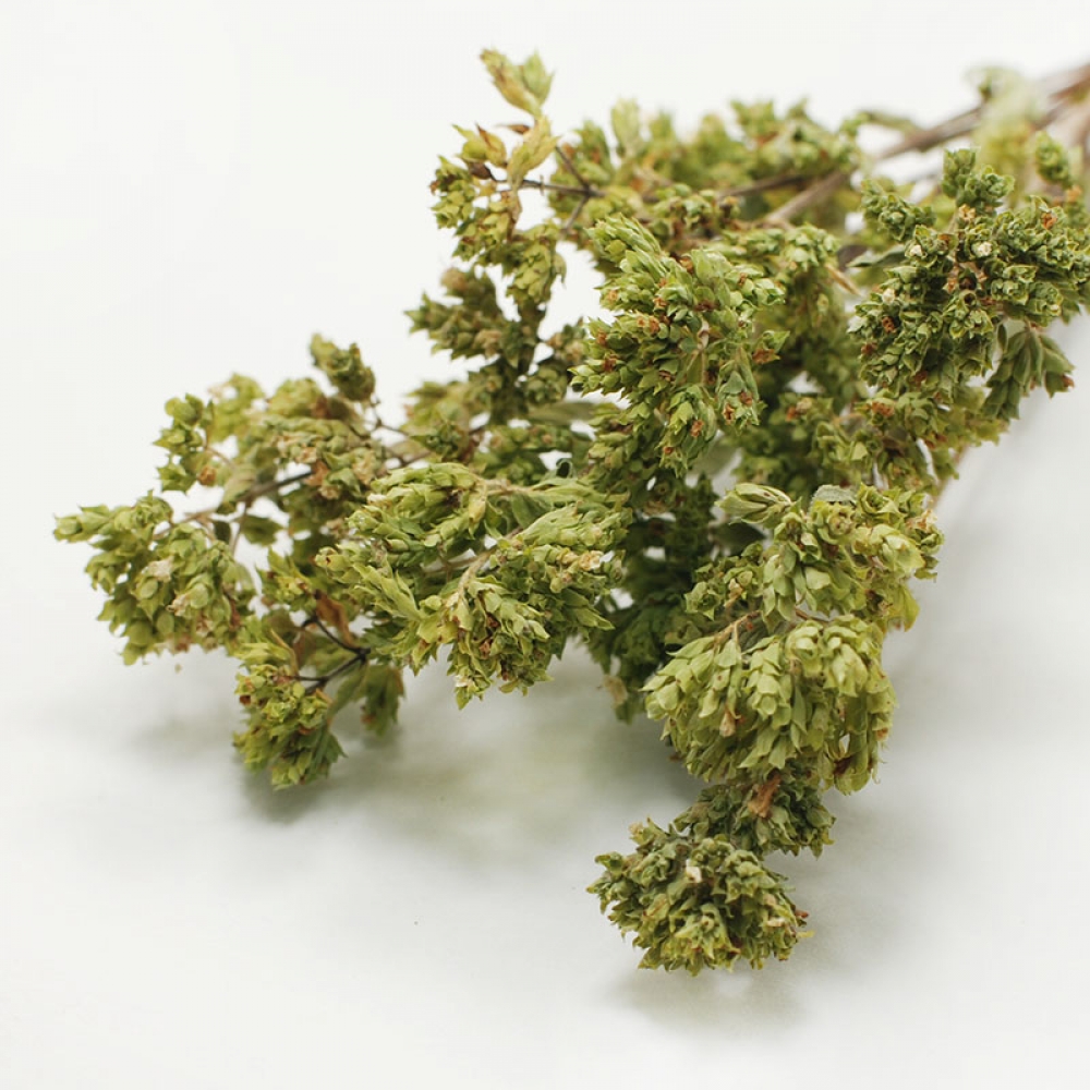 Κουζίνα – φάντασμα, τρόφιμα κατά του στρες και vegan παπούτσια -Οι νέες τάσεις της αγοράς