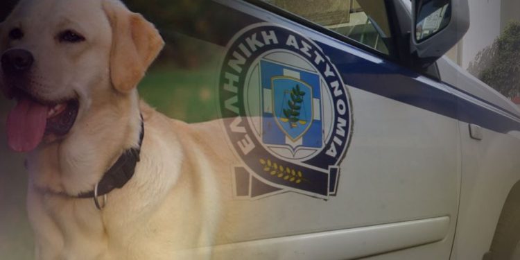 Φρίκη στην Κρήτη: Έδεσε το σκυλί του και το έσερνε με το εν κινήσει αυτοκίνητο