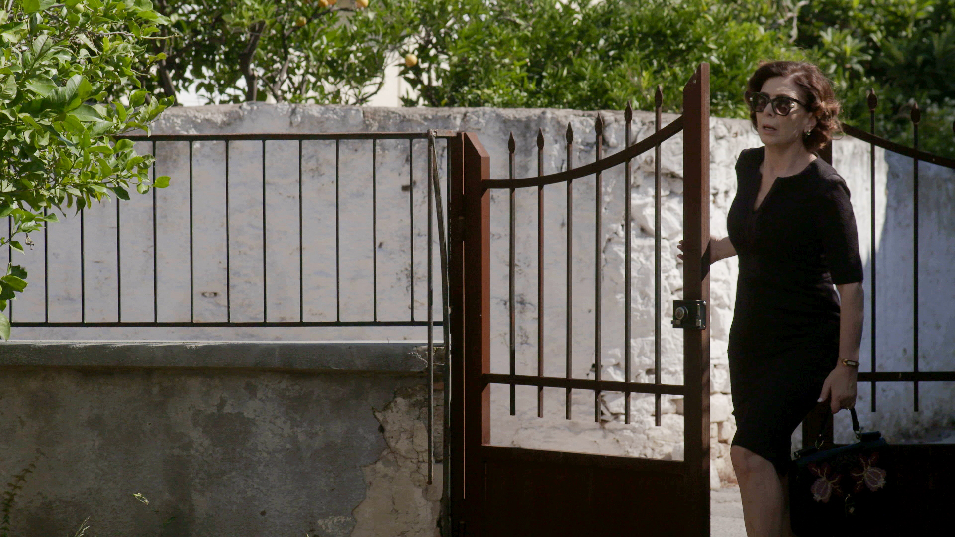 Άγριες Μέλισσες