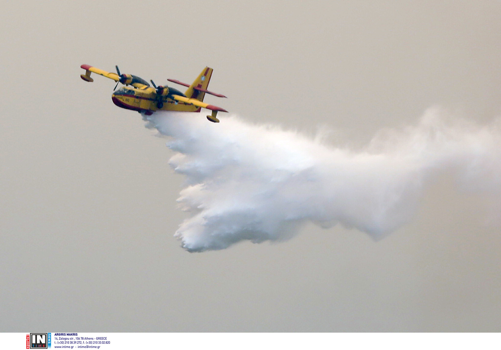 Πέλλα: Μεγάλη φωτιά σε δασική έκταση