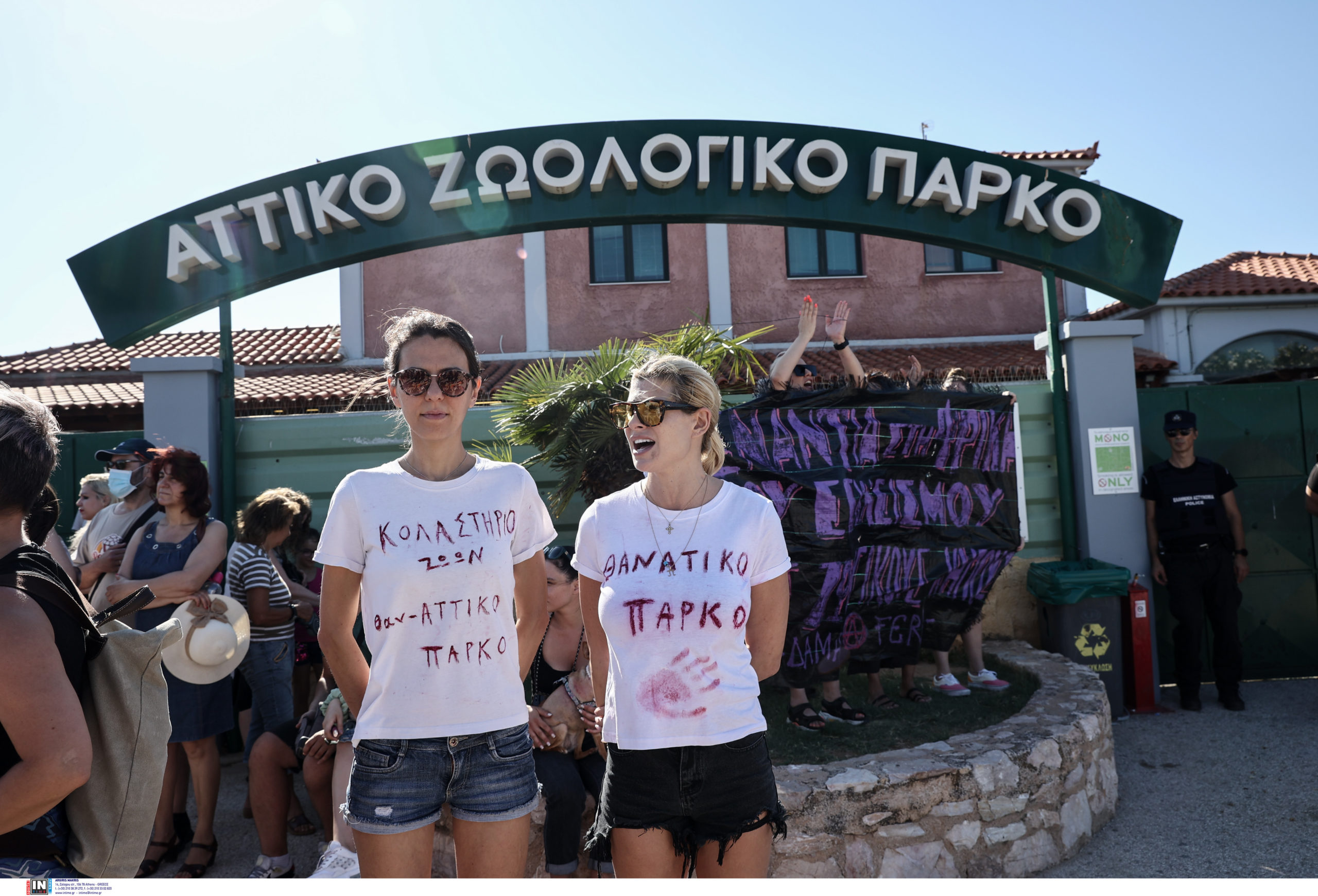 Αττικό Ζωολογικό Πάρκο: Συγκέντρωση διαμαρτυρίας για τη θανάτωση του χιμπατζή – «Κάθε μέρα θα είμαστε εδώ»
