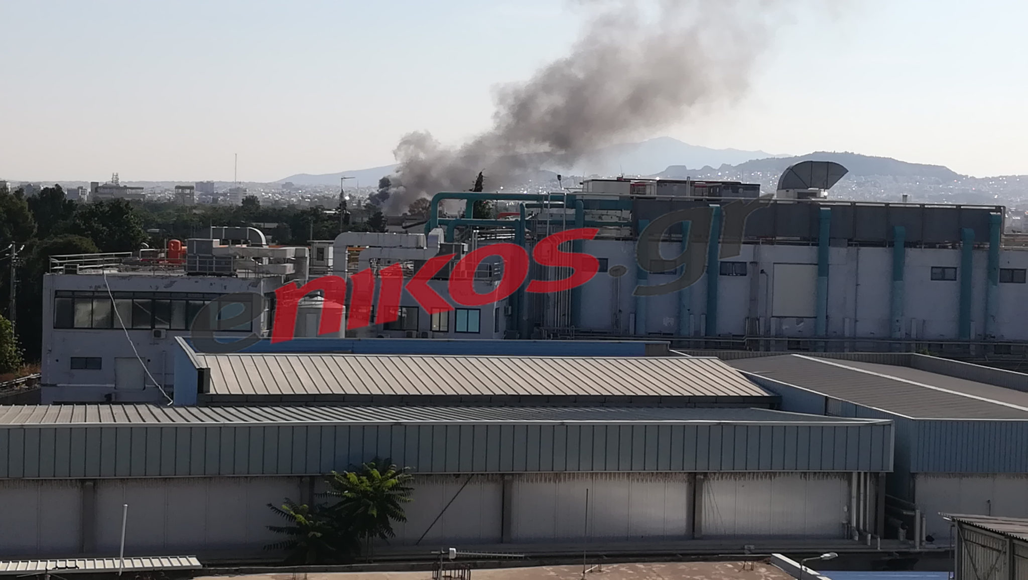 φωτιά - Ελαιώνας