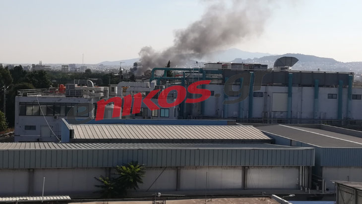 φωτιά - Ελαιώνας