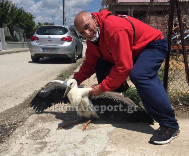 Θρήνος στη Λαμία: Πέθανε γνωστός αθλητής του bodybuilding