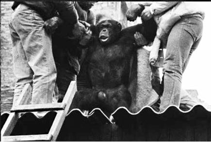 Η μεταφορά του Σάμι