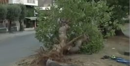 Χαλάνδρι - τροχαίο