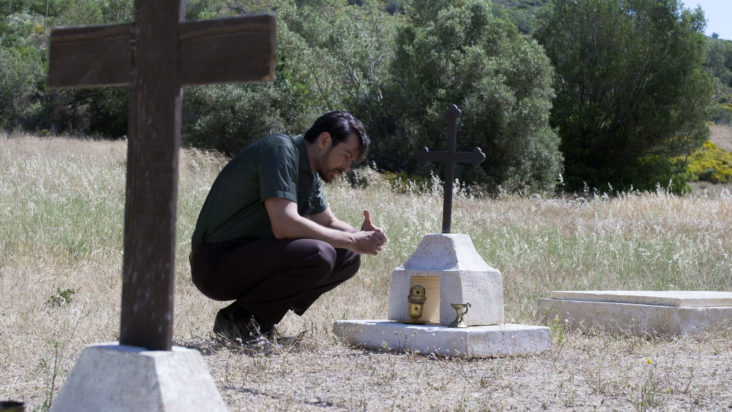 Άγριες Μέλισσες