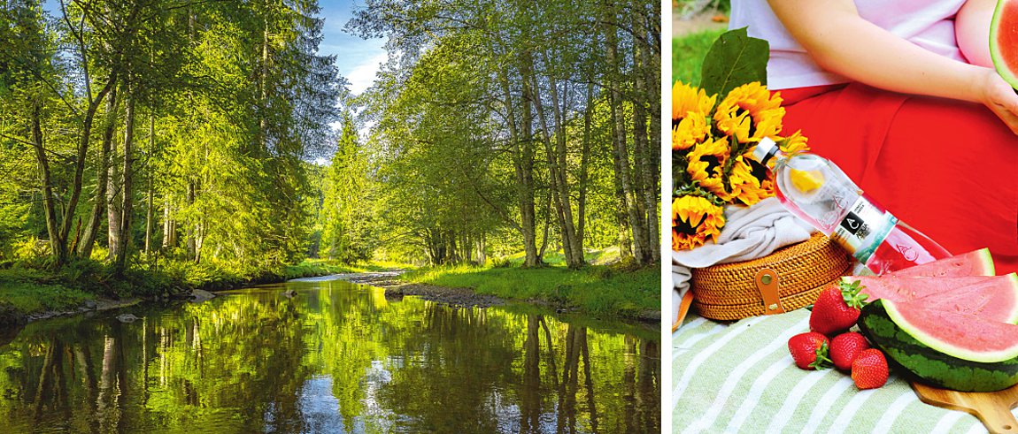 Η «πατρίδα» των φυσικών νερών στο ποτήρι σας