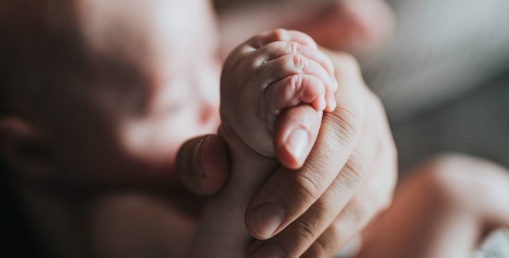 γονιμότητα