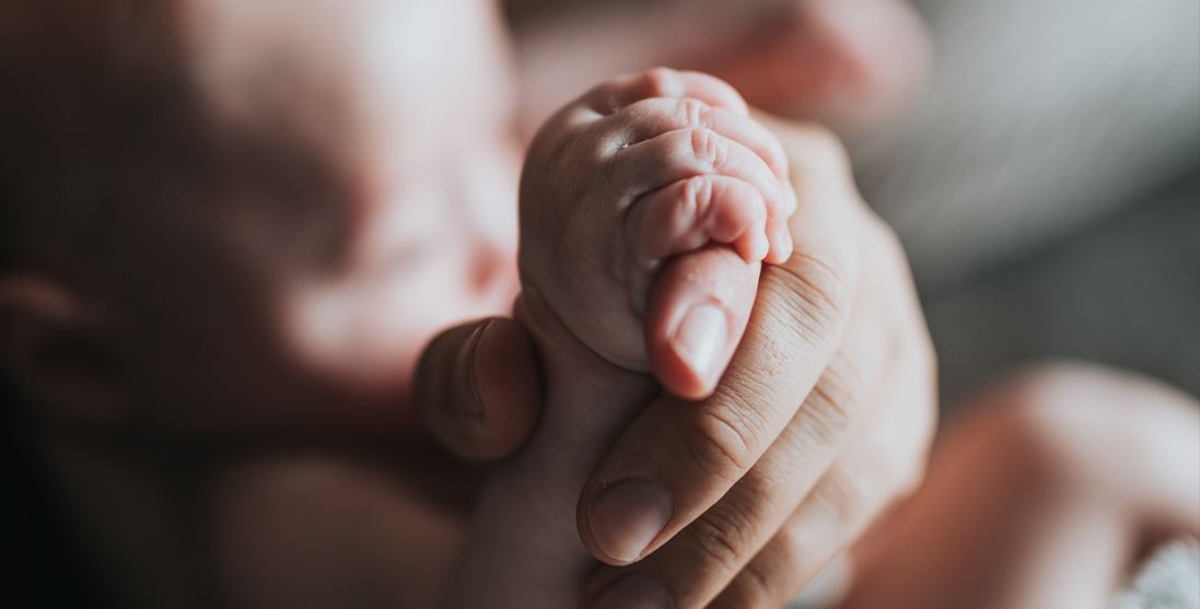 γονιμότητα