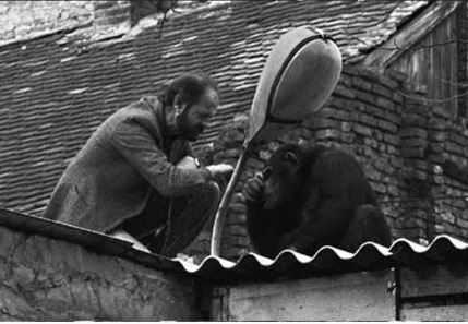 Ο Μπόγιοβιτς διαπραγματεύεται