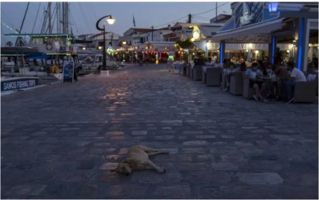 επισιτισμός