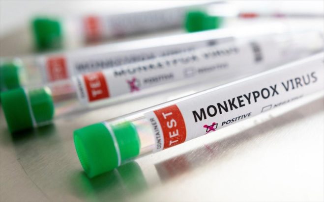 ευλογιά των πιθήκων