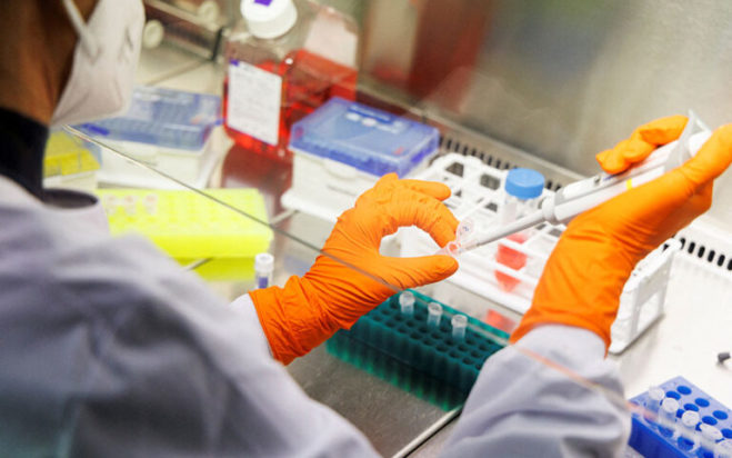 Ευλογιά των πιθήκων