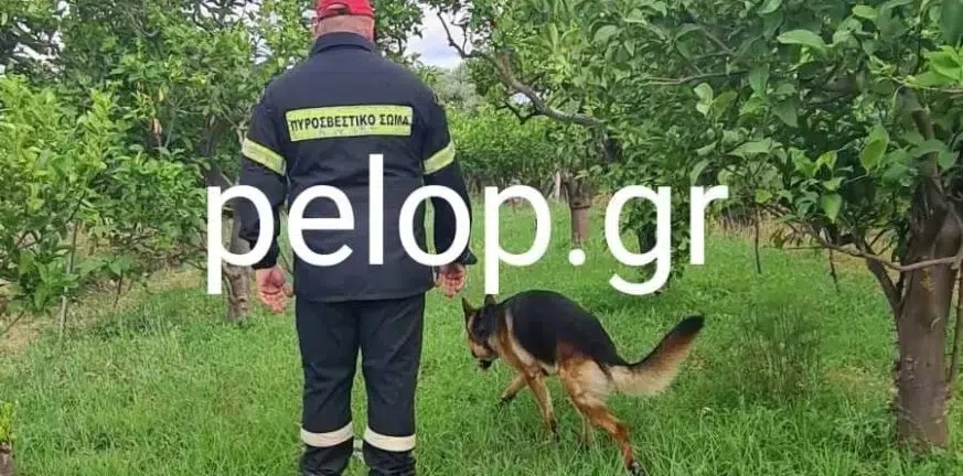 Τραγωδία στην Αιγιάλεια: Ηλικιωμένος εντοπίστηκε νεκρός μέσα σε δεξαμενή