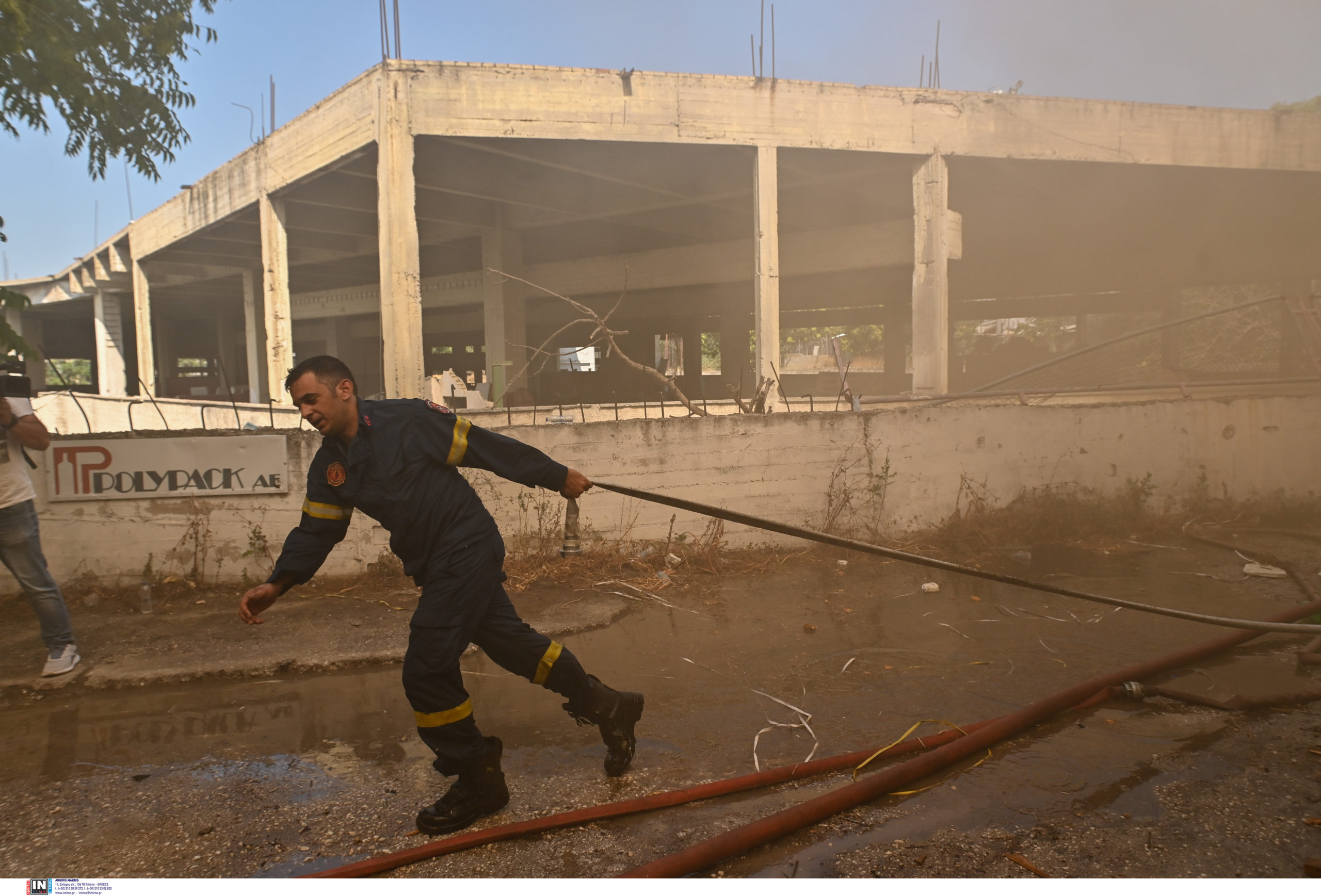 φωτιά- Ελαιώνας