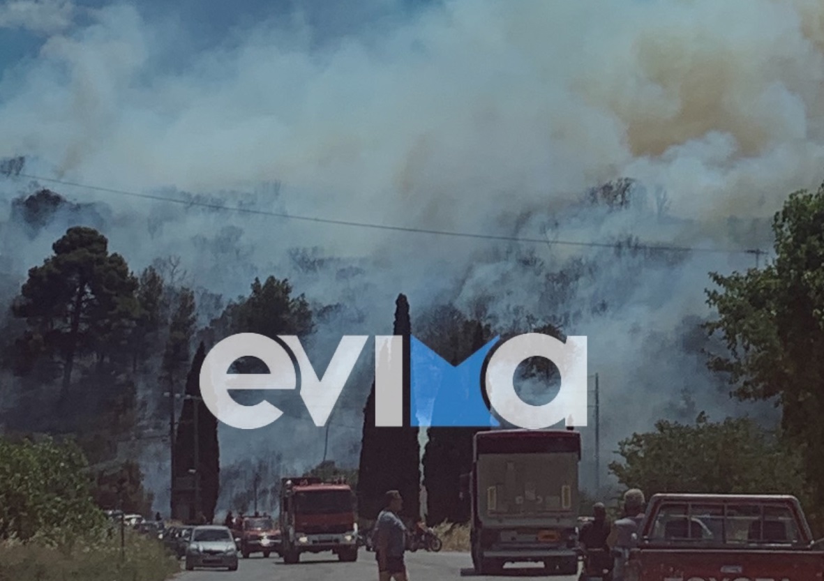 φωτιά Εύβοια