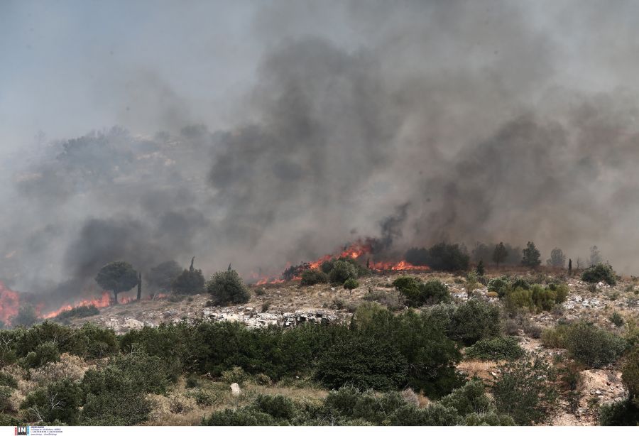 Φωτιά στη Γλυφάδα: Έκαψε άλση και πάρκα στο Πανόραμα, λέει ο Γρηγόρης Κωνσταντέλλος