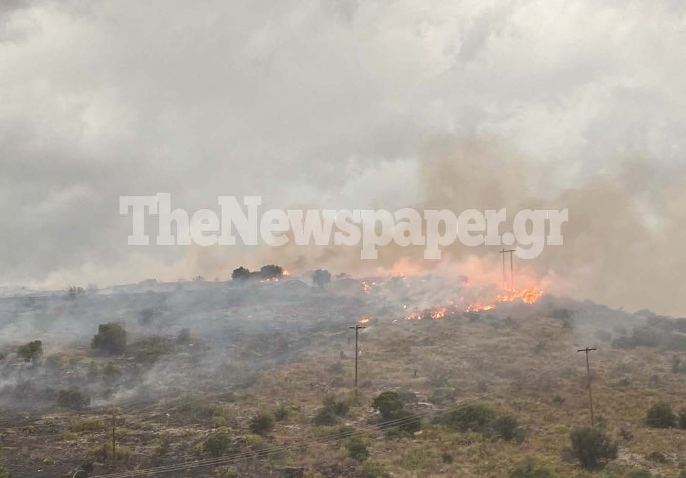 Φωτιά ΤΩΡΑ στον Βόλο – BINTEO