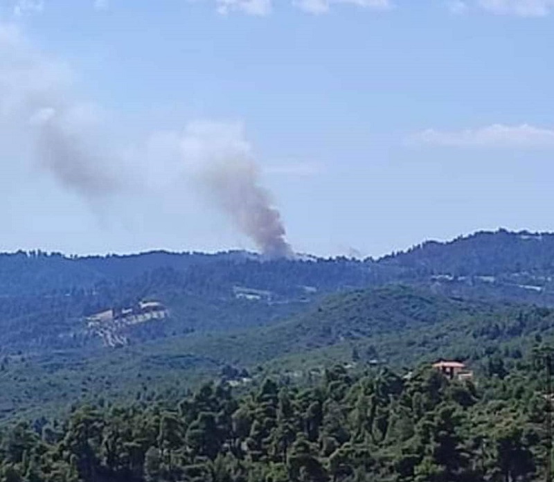 φωτιά Χαλκιδική