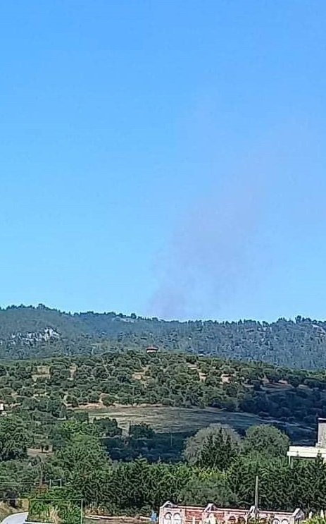 φωτιά Χαλκιδική 